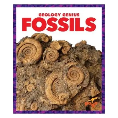 Fossils - Pettiford, Rebecca