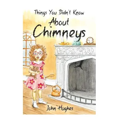 Things You Didn't Know About Chimneys - Hughes, John