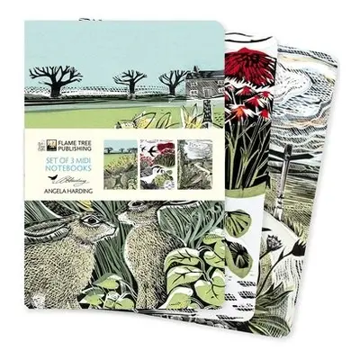 Angela Harding: Landscapes Set of 3 Midi Notebooks