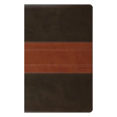 ESV Large Print Personal Size Bible