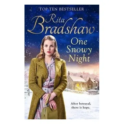 One Snowy Night - Bradshaw, Rita