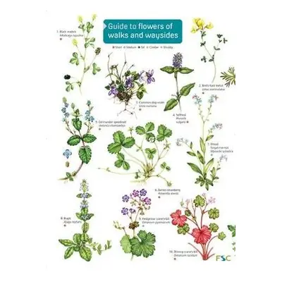 Guide to flowers of walks and waysides - Farley-Brown, Rebecca