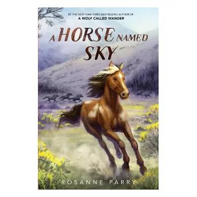 Horse Named Sky - Parry, Rosanne