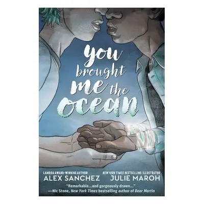 You Brought Me The Ocean: An Aqualad Graphic Novel - Hitz-Sanchez, Alexander a Maroh, Julie