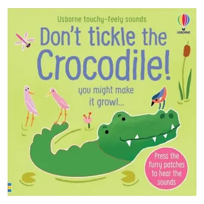 Don't Tickle the Crocodile! - Taplin, Sam