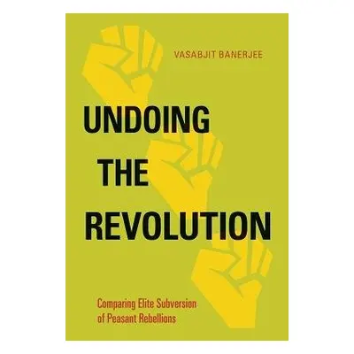 Undoing the Revolution - Banerjee, Vasabjit