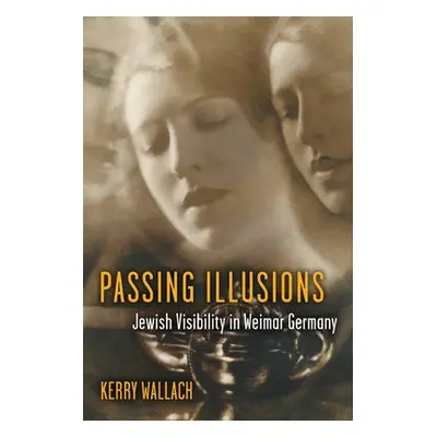 Passing Illusions - Wallach, Kerry