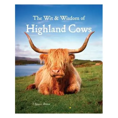 Wit a Wisdom of Highland Cows - Brave, Ulysses