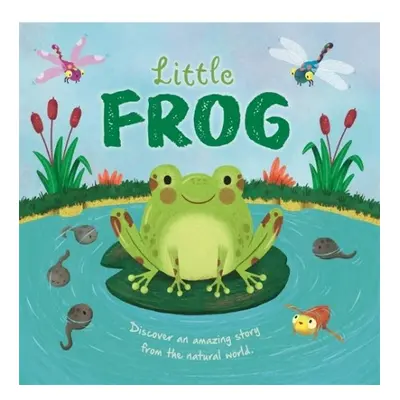 Little Frog - Autumn Publishing