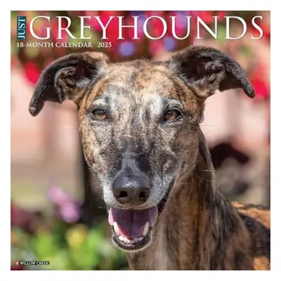 Just Greyhounds 2025 12 X 12 Wall Calendar - Willow Creek Press