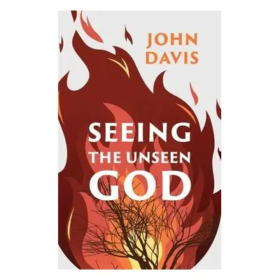 Seeing the Unseen God - Davis, John