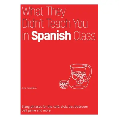 What They Didn't Teach You In Spanish Class - Caballero, Juan