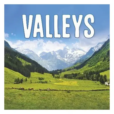 Valleys - Amstutz, Lisa J.