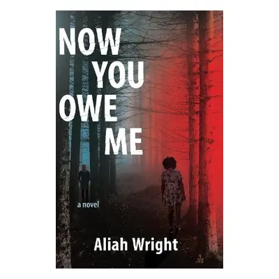 Now You Owe Me - Wright, Aliah