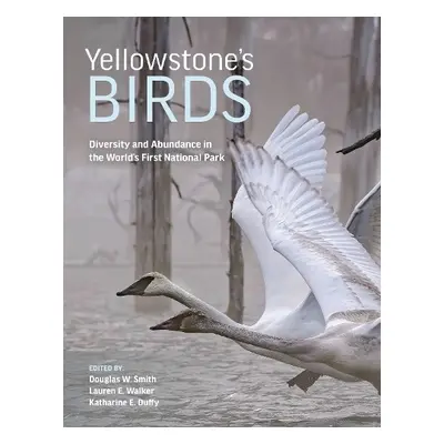 Yellowstone’s Birds