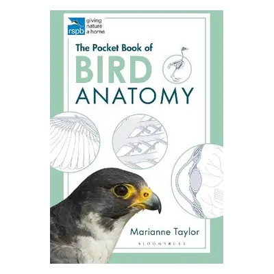 Pocket Book of Bird Anatomy - Taylor, Marianne