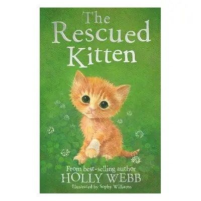 Rescued Kitten - Webb, Holly