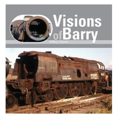 Visions of Barry - Grayer, Jeffery