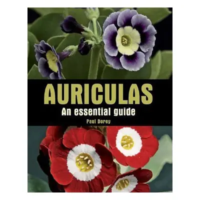 Auriculas - Dorey, Paul