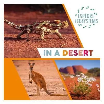 Explore Ecosystems: In a Desert - Ridley, Sarah