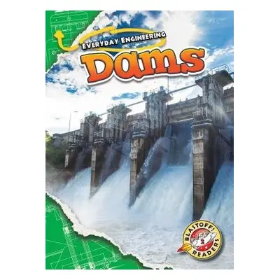 Dams - Bowman, Chris