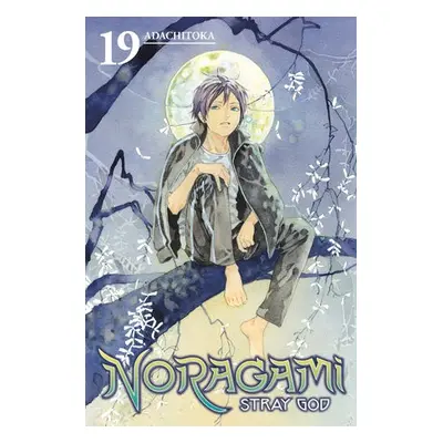 Noragami: Stray God 19 - Adachitoka