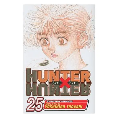 Hunter x Hunter, Vol. 25 - Togashi, Yoshihiro