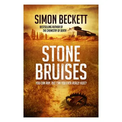 Stone Bruises - Beckett, Simon