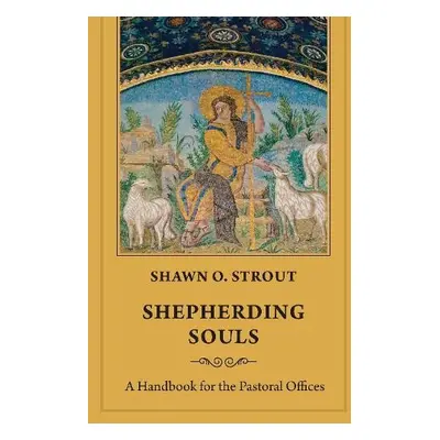 Shepherding Souls - Strout, Shawn O.