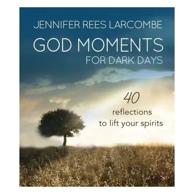 God Moments - Larcombe, Jennifer Rees