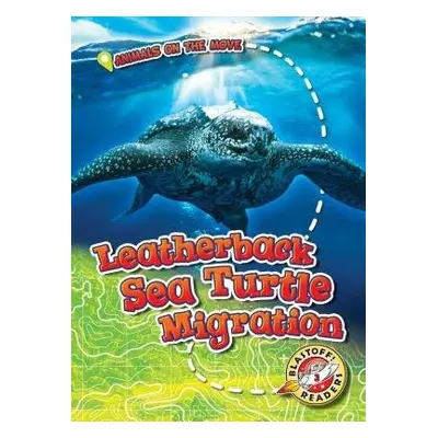 Leatherback Sea Turtle Migration - Schuetz, Kari