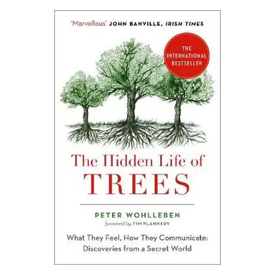 Hidden Life of Trees - Wohlleben, Peter