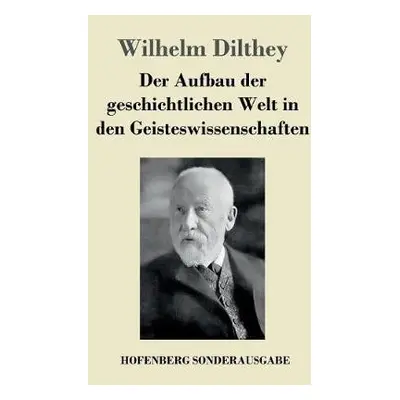 Aufbau der geschichtlichen Welt in den Geisteswissenschaften - Dilthey, Wilhelm