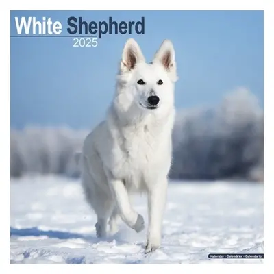 White Shepherd Calendar 2025 Square Dog Breed Wall Calendar - 16 Month