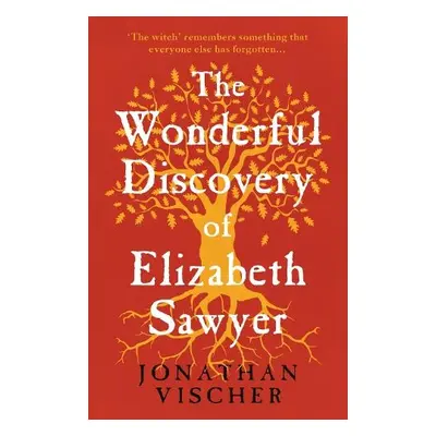 Wonderful Discovery of Elizabeth Sawyer - Vischer, Jonathan