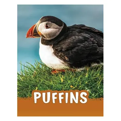 Puffins - Jaycox, Jaclyn