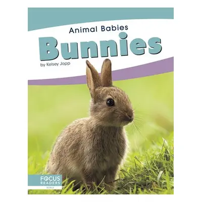 Animal Babies: Bunnies - Jopp, Kelsey