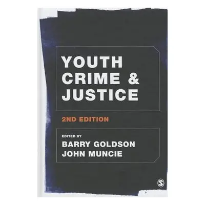 Youth Crime and Justice