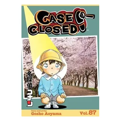 Case Closed, Vol. 87 - Aoyama, Gosho