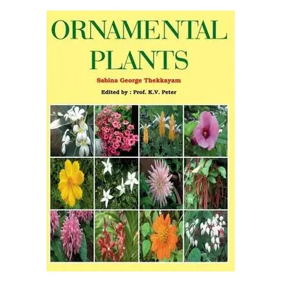 Ornamental Plants - Thekkayam, Sabina George