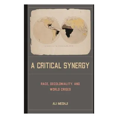 A Critical Synergy - Meghji, Ali