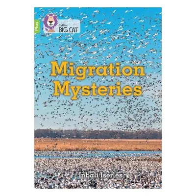 Migration Mysteries - Iserles, Inbali