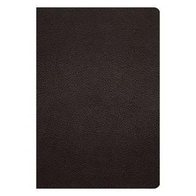 ESV Large Print Compact Bible