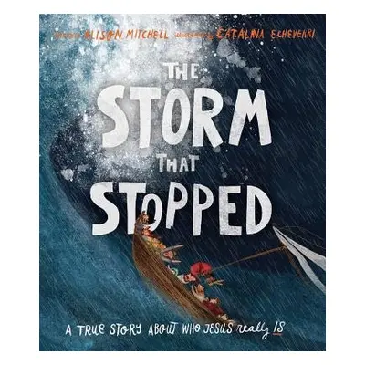 The Storm That Stopped Storybook - Mitchell, Alison