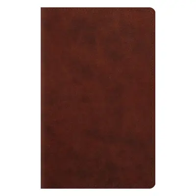 ESV Large Print Personal Size Bible