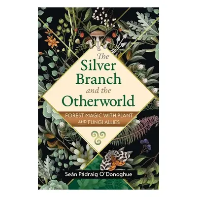 Silver Branch and the Otherworld - O'Donoghue, Sean Padraig