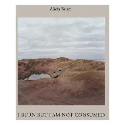 I Burn But Am Not Consumed - Bruce, Alicia