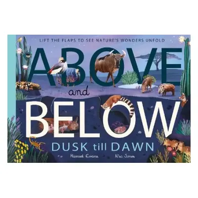 Above and Below: Dusk till Dawn - Evans, Harriet