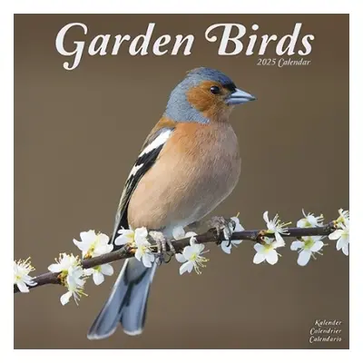 Garden Birds Calendar 2025 Square Birds Wall Calendar - 16 Month