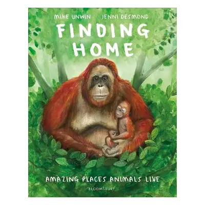 Finding Home - Unwin, Mike